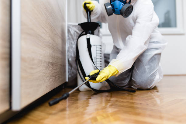 Best Pest Control Treatment  in Springdale, MD