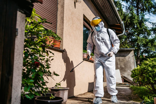 Best Best Pest Control Companies  in Springdale, MD