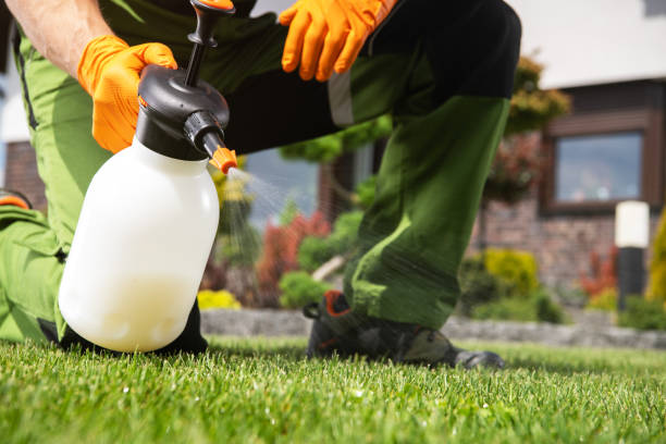 Best Affordable Pest Control Services  in Springdale, MD