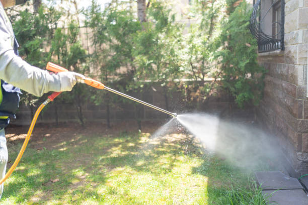 Best Pest Control Near Me  in Springdale, MD