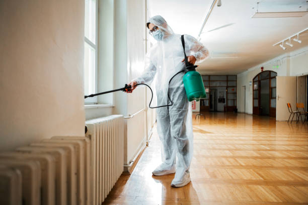 Best Emergency Pest Control  in Springdale, MD
