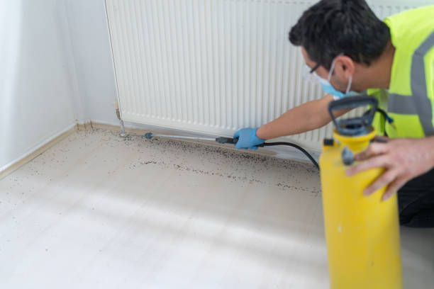 Best Insect Control  in Springdale, MD