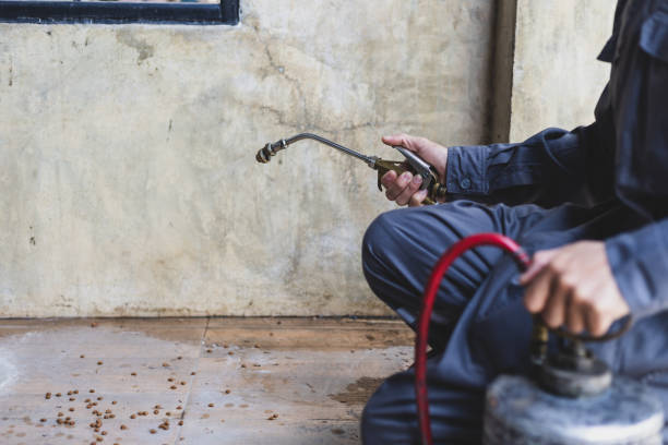 Best Pest Removal Services  in Springdale, MD